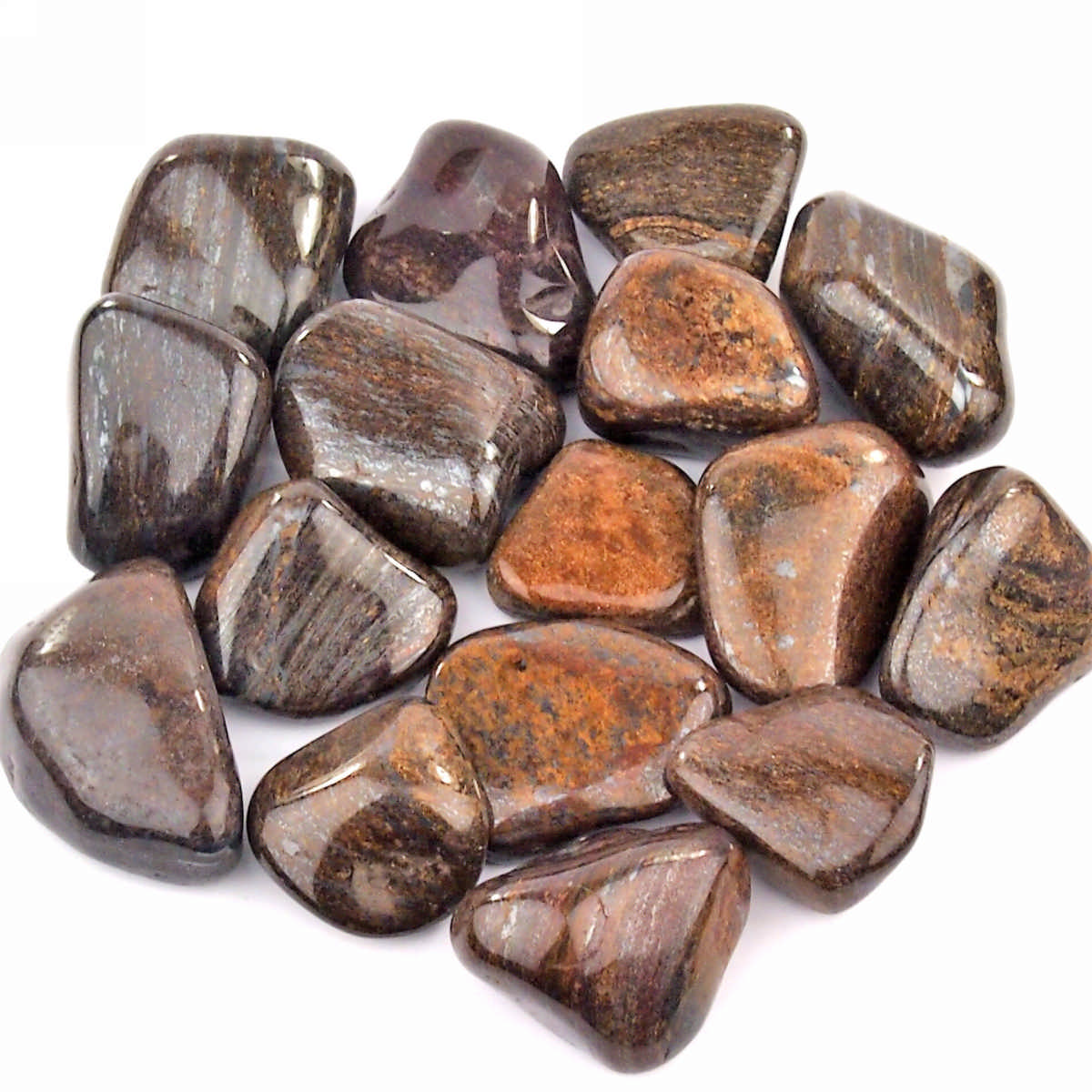 Bronzit Trommelsteine Ø ca. 35 – 50 mm Edelsteine Heilsteine bei Wunderstein24 Bronzit Trommelsteine Ø ca. 35 – 50 mm Edelsteine Heilsteine bei Wunderstein24