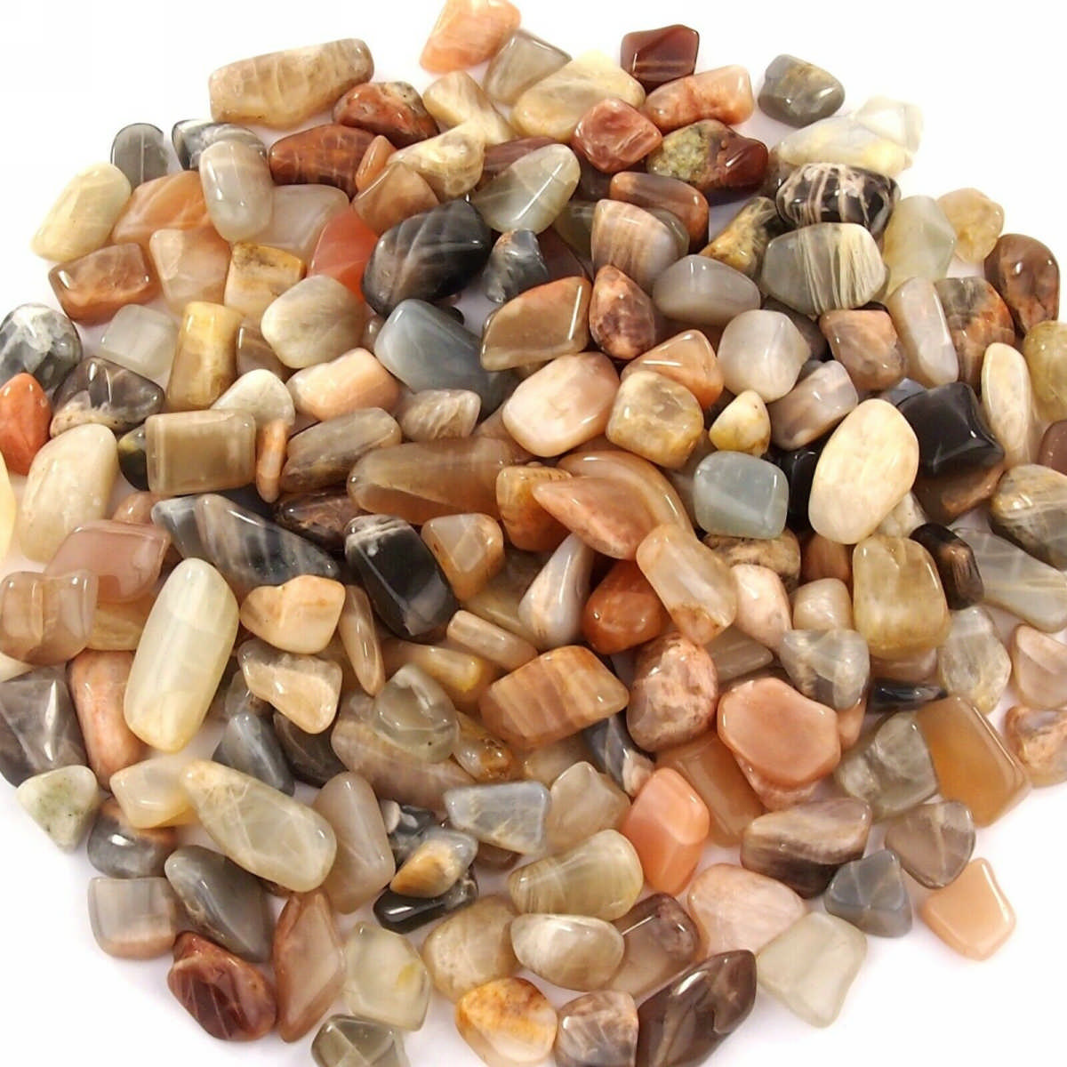 Mondstein Trommelsteine Ø ca. 15 – 25 mm Edelsteine Heilsteine bei Wunderstein24 Mondstein Trommelsteine Ø ca. 15 – 25 mm Edelsteine Heilsteine bei Wunderstein24