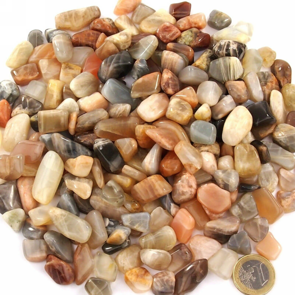 Mondstein Trommelsteine Ø ca. 15 – 25 mm Edelsteine Heilsteine bei Wunderstein24 Mondstein Trommelsteine Ø ca. 15 – 25 mm Edelsteine Heilsteine bei Wunderstein24