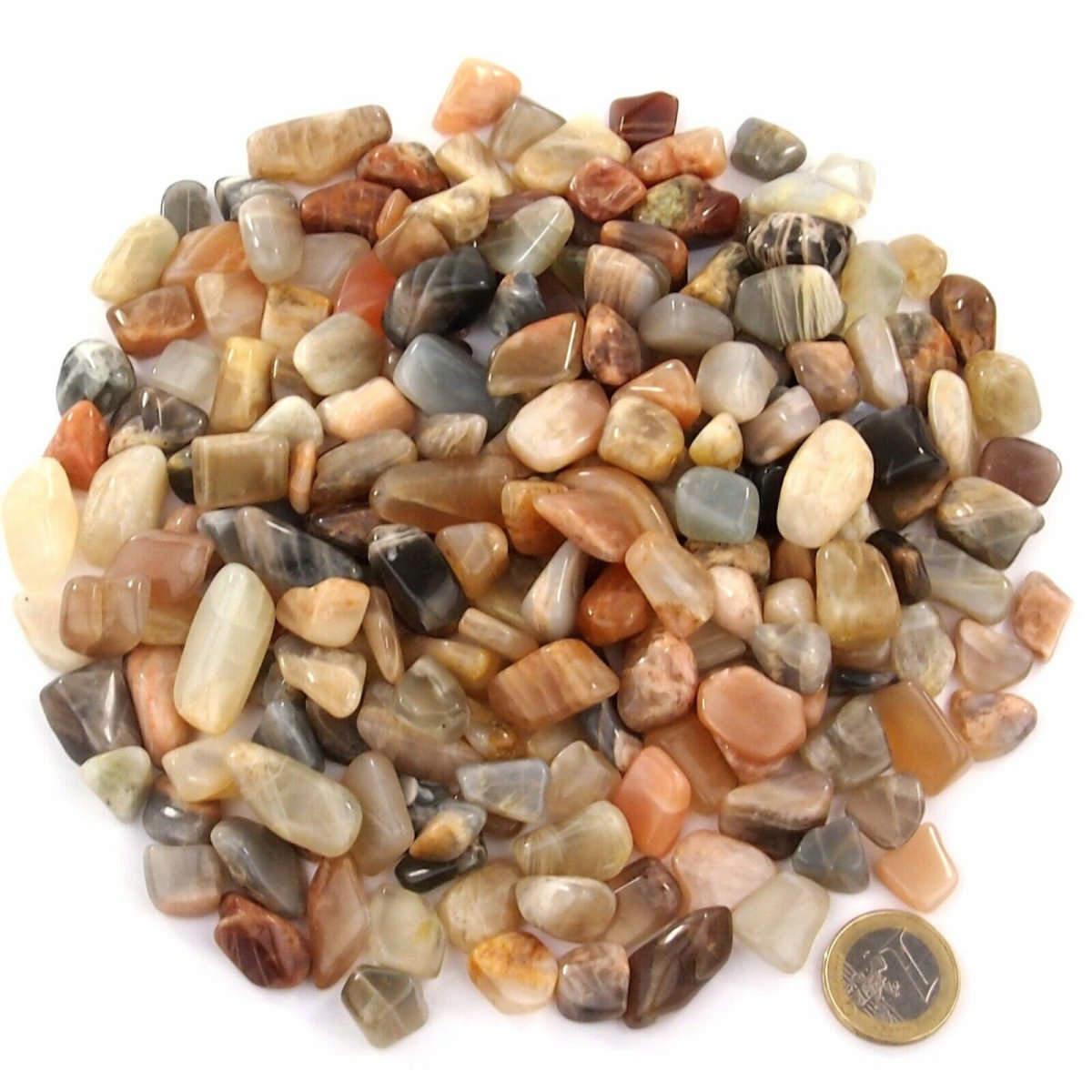 Mondstein Trommelsteine Ø ca. 15 – 25 mm Edelsteine Heilsteine bei Wunderstein24 Mondstein Trommelsteine Ø ca. 15 – 25 mm Edelsteine Heilsteine bei Wunderstein24