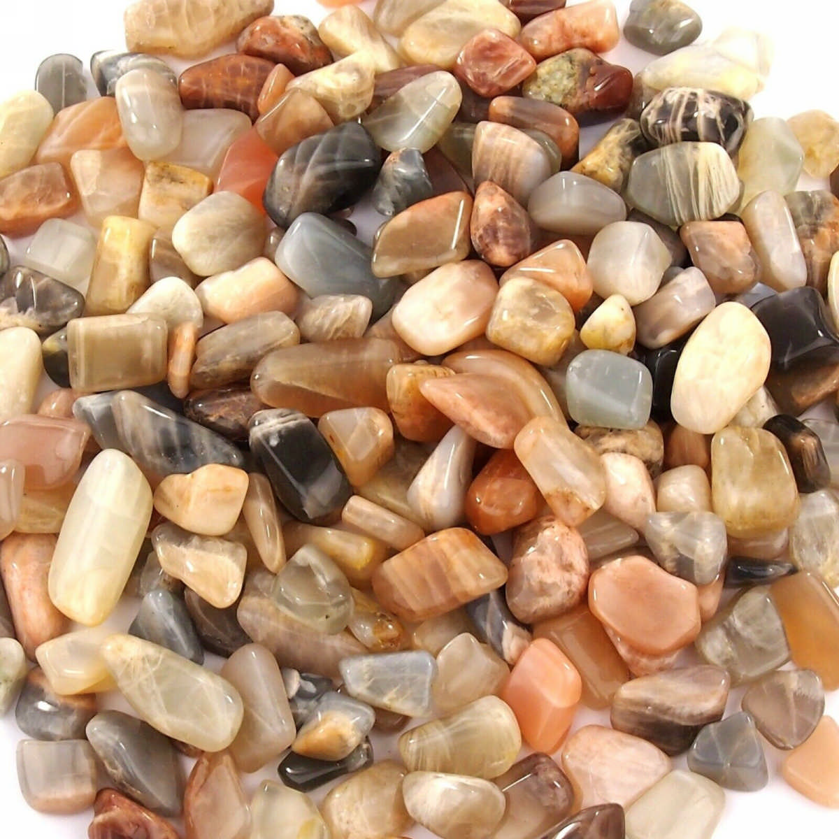 Mondstein Trommelsteine Ø ca. 15 – 25 mm Edelsteine Heilsteine bei Wunderstein24 Mondstein Trommelsteine Ø ca. 15 – 25 mm Edelsteine Heilsteine bei Wunderstein24