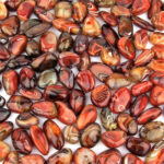 Streifenachat | Achat Trommelsteine handpoliert Ø ca. 33 – 60 mm Edelsteine Heilsteine bei Wunderstein24 Streifenachat | Achat Trommelsteine handpoliert Ø ca. 33 – 60 mm Edelsteine Heilsteine bei Wunderstein24