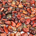 Streifenachat | Achat Trommelsteine handpoliert Ø ca. 33 – 60 mm Edelsteine Heilsteine bei Wunderstein24 Streifenachat | Achat Trommelsteine handpoliert Ø ca. 33 – 60 mm Edelsteine Heilsteine bei Wunderstein24