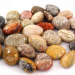 Versteinerte Koralle Trommelsteine handpoliert Ø ca. 30 – 40 mm Edelsteine Heilsteine bei Wunderstein24 Versteinerte Koralle Trommelsteine handpoliert Ø ca. 30 – 40 mm Edelsteine Heilsteine bei Wunderstein24