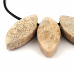 Versteinerte Koralle Navette Anhänger seitlich gebohrt mit schwarzem Satinband Edelsteine Heilsteine bei Wunderstein24