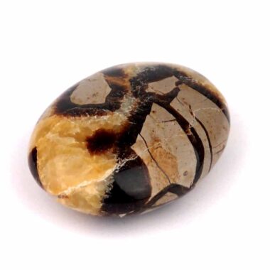 Septarie