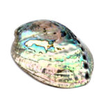 Abalone Schale poliert Ø ca. 121 mm Seeohr Perlmutt Haliotis Räucherschale Edelsteine Heilsteine bei Wunderstein24