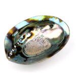Abalone Schale poliert Ø ca. 123 mm Seeohr Perlmutt Haliotis Räucherschale Edelsteine Heilsteine bei Wunderstein24