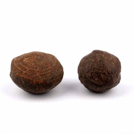 Moqui Marbles Paar männlich & weiblich | Lebende Steine Edelsteine Heilsteine bei Wunderstein24
